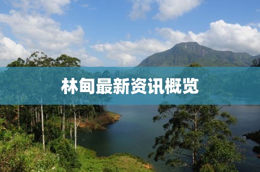 林甸最新资讯概览