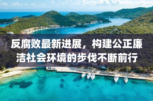 反腐败最新进展，构建公正廉洁社会环境的步伐不断前行