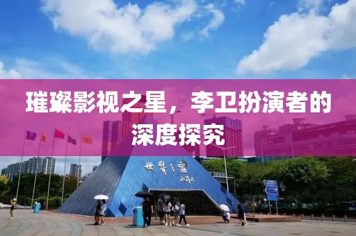 璀璨影视之星，李卫扮演者的深度探究