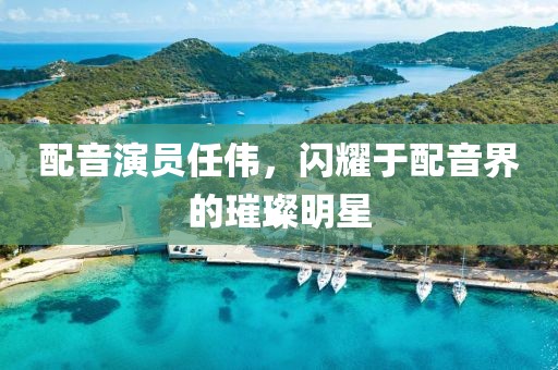 配音演员任伟，闪耀于配音界的璀璨明星