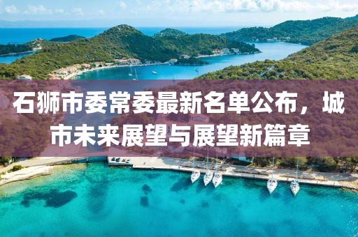 石狮市委常委最新名单公布，城市未来展望与展望新篇章