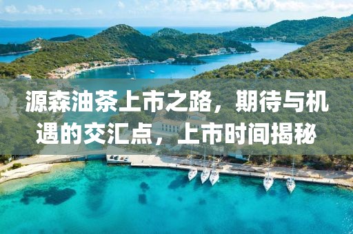 源森油茶上市之路，期待与机遇的交汇点，上市时间揭秘