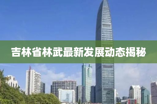 吉林省林武最新发展动态揭秘