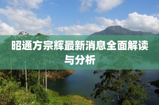 昭通方宗辉最新消息全面解读与分析