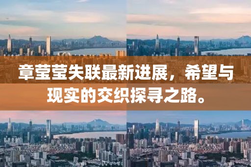 章莹莹失联最新进展，希望与现实的交织探寻之路。