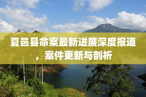 夏邑县命案最新进展深度报道，案件更新与剖析