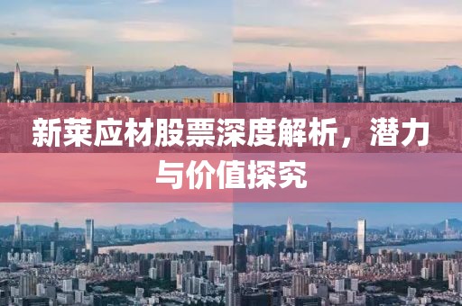 新莱应材股票深度解析，潜力与价值探究