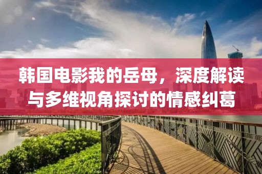 韩国电影我的岳母，深度解读与多维视角探讨的情感纠葛