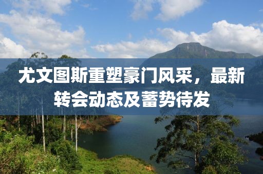 尤文图斯重塑豪门风采，最新转会动态及蓄势待发