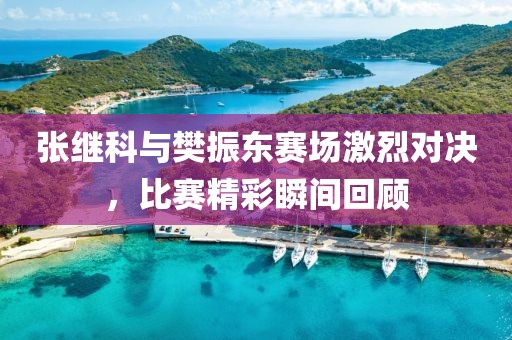 张继科与樊振东赛场激烈对决，比赛精彩瞬间回顾