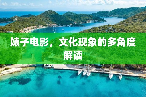 婊子电影，文化现象的多角度解读