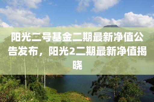 阳光二号基金二期最新净值公告发布，阳光2二期最新净值揭晓