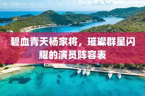 碧血青天杨家将，璀璨群星闪耀的演员阵容表