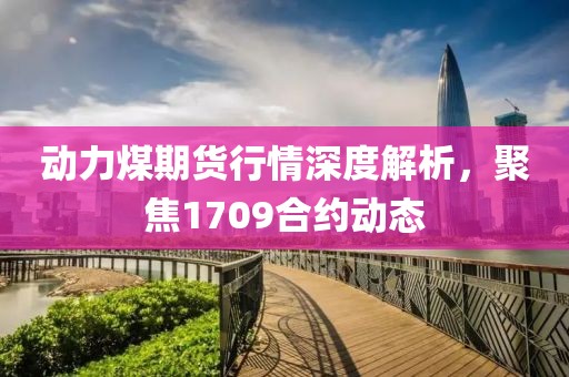 动力煤期货行情深度解析，聚焦1709合约动态