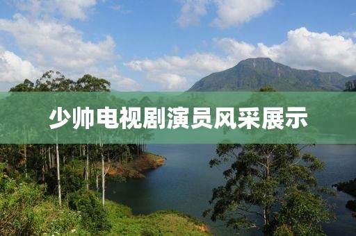 少帅电视剧演员风采展示