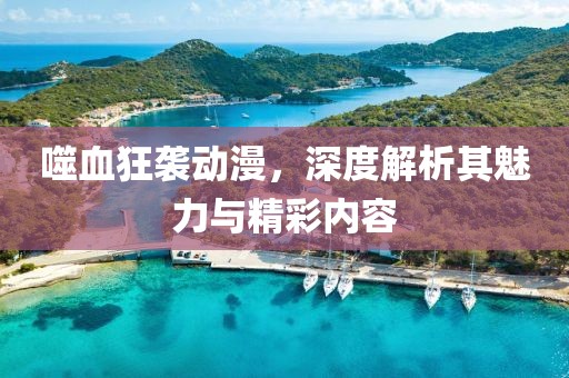 噬血狂袭动漫，深度解析其魅力与精彩内容