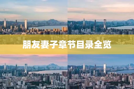 朋友妻子章节目录全览