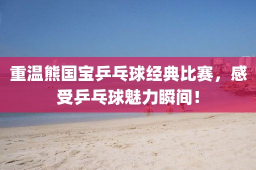 重温熊国宝乒乓球经典比赛，感受乒乓球魅力瞬间！
