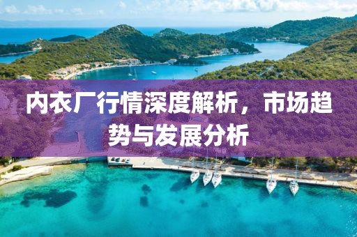内衣厂行情深度解析，市场趋势与发展分析