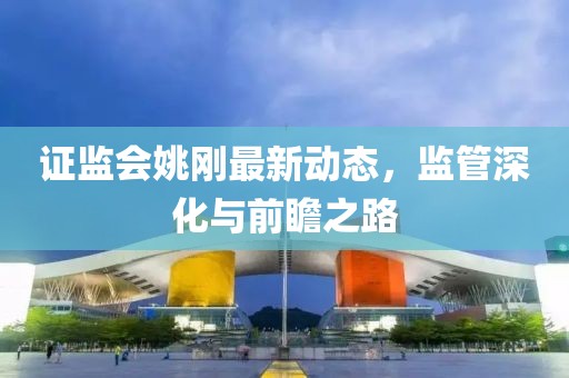 证监会姚刚最新动态，监管深化与前瞻之路
