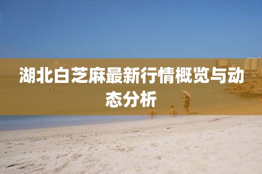 湖北白芝麻最新行情概览与动态分析