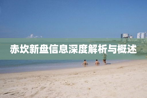 赤坎新盘信息深度解析与概述