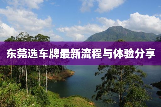 东莞选车牌最新流程与体验分享