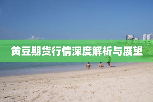 黄豆期货行情深度解析与展望