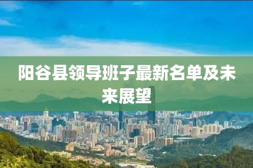 阳谷县领导班子最新名单及未来展望