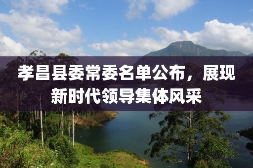 孝昌县委常委名单公布，展现新时代领导集体风采