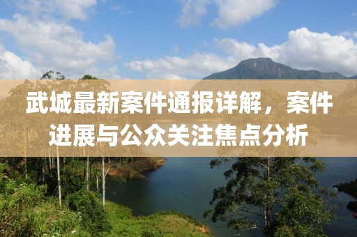 武城最新案件通报详解，案件进展与公众关注焦点分析