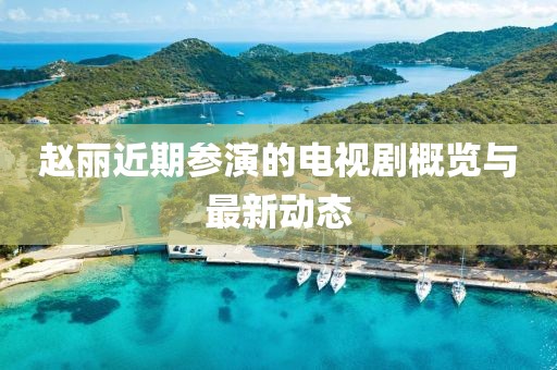 赵丽近期参演的电视剧概览与最新动态
