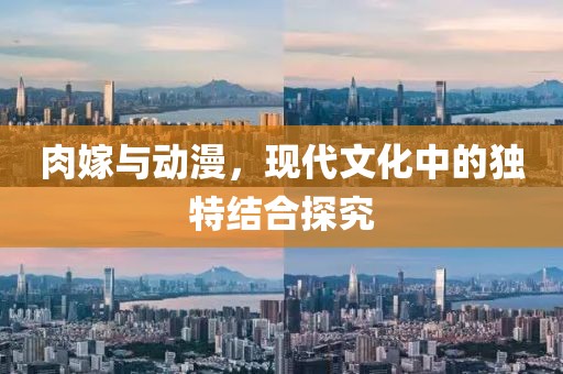 肉嫁与动漫，现代文化中的独特结合探究