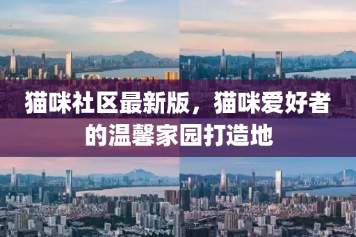 猫咪社区最新版，猫咪爱好者的温馨家园打造地