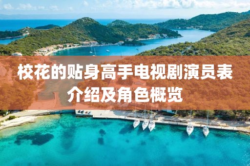 校花的贴身高手电视剧演员表介绍及角色概览