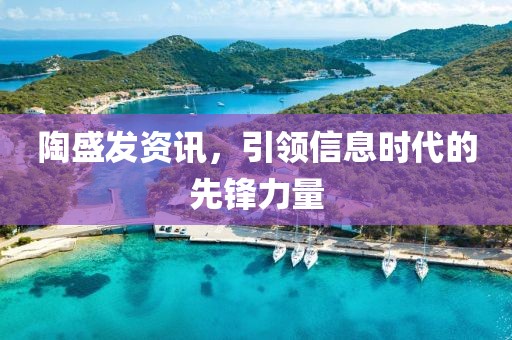 陶盛发资讯，引领信息时代的先锋力量