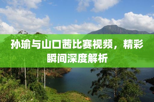 孙瑜与山口茜比赛视频，精彩瞬间深度解析