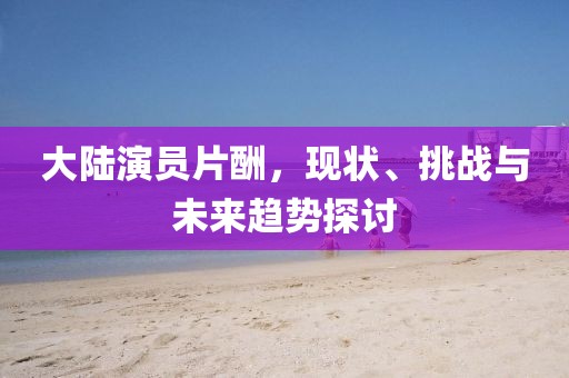 大陆演员片酬，现状、挑战与未来趋势探讨