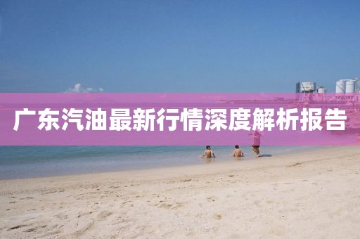 广东汽油最新行情深度解析报告