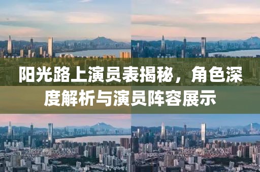 阳光路上演员表揭秘，角色深度解析与演员阵容展示