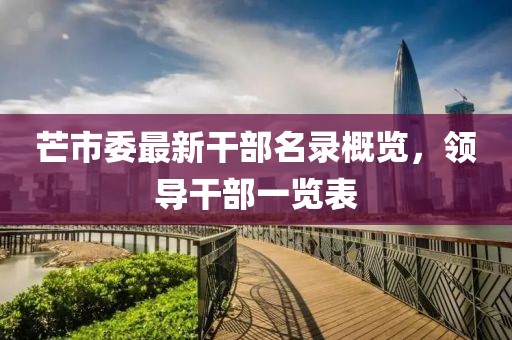 芒市委最新干部名录概览，领导干部一览表