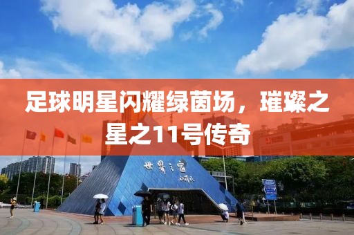 足球明星闪耀绿茵场，璀璨之星之11号传奇