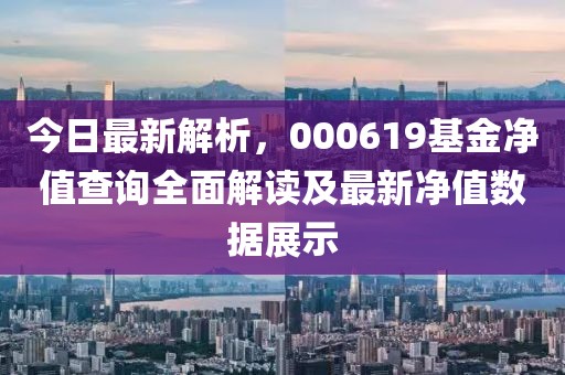 今日最新解析，000619基金净值查询全面解读及最新净值数据展示