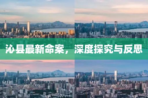 沁县最新命案，深度探究与反思