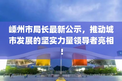 嵊州市局长最新公示，推动城市发展的坚实力量领导者亮相！