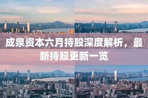 成泉资本六月持股深度解析，最新持股更新一览