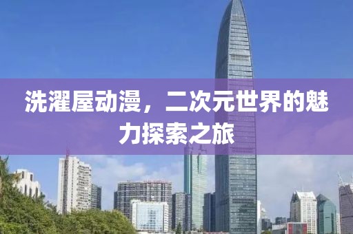 洗濯屋动漫，二次元世界的魅力探索之旅