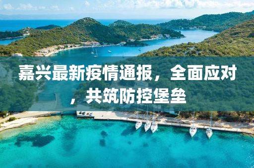 嘉兴最新疫情通报，全面应对，共筑防控堡垒