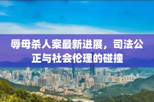 辱母杀人案最新进展，司法公正与社会伦理的碰撞