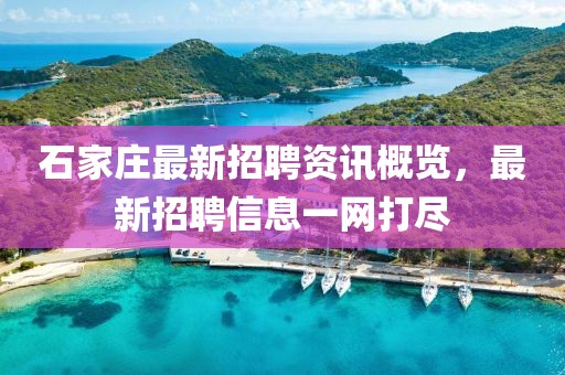 石家庄最新招聘资讯概览，最新招聘信息一网打尽